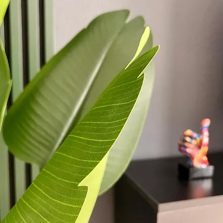 Living Dream In Halle