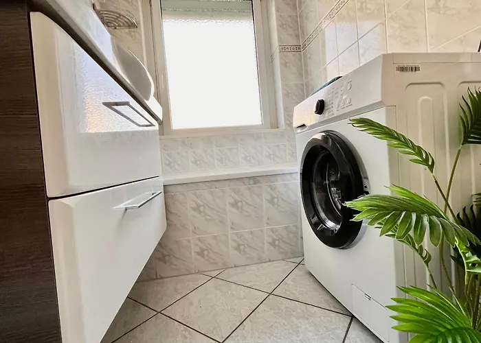 Living Dream In Halle *