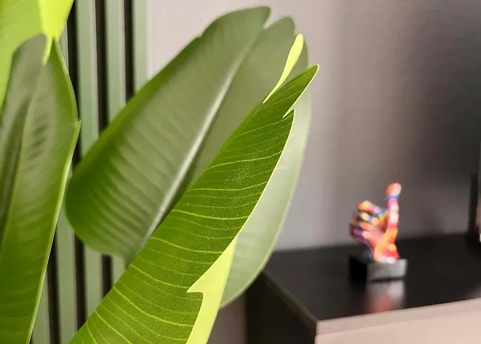 Living Dream In Halle